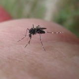 what drugs should i take for malaria