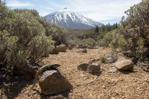 Mount Teide Mount Teide