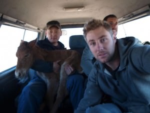 horse saving mission