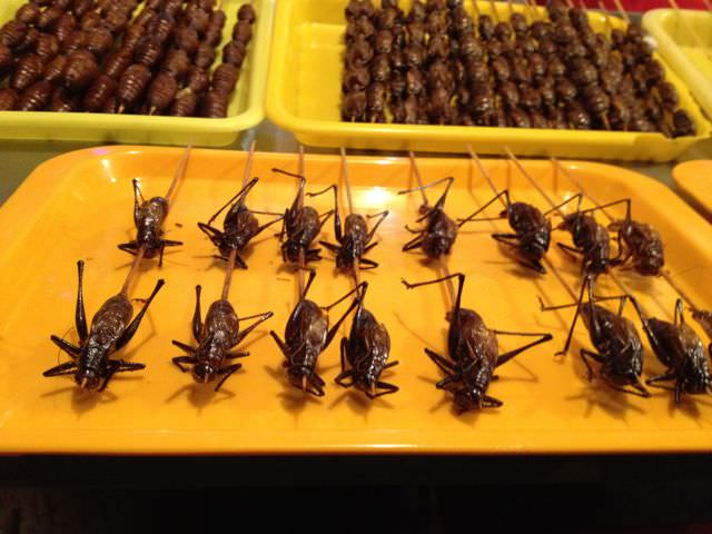 Eating Penis And Balls At Donghuamen Night Market In Beijing China 