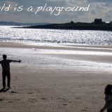 the world is a Playground