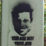 you are not your job