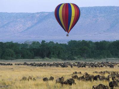 http://onestep4ward.com/wp-content/uploads/2012/08/balloon-safari-kenya.jpg