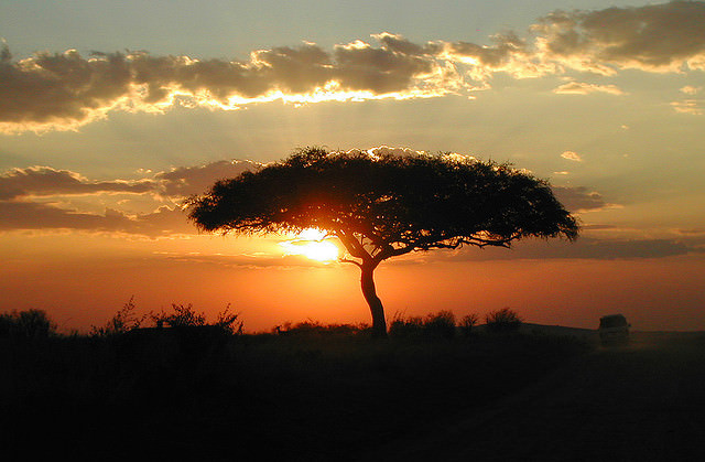 10 Great Things to do in Kenya | One Step 4Ward