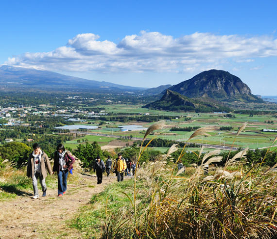 Things to Do on Jeju Island  Travel Lifestyle Of Your Dreams