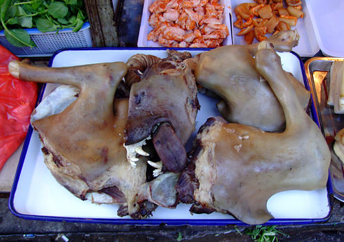 Eating dog in China