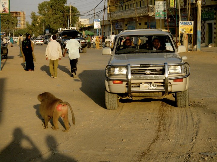 Travel Somaliland