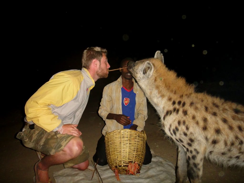 Feeding a hyena in Harar