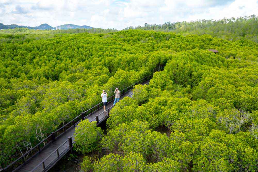 Pranburi Mangrove Forest