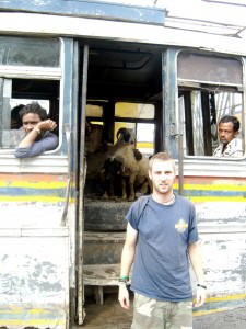 bus with goats