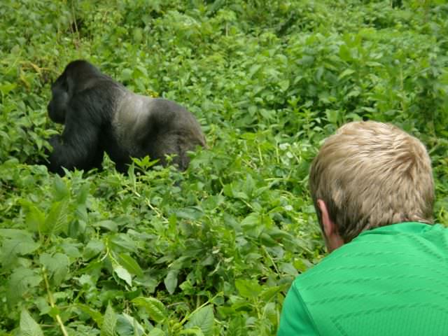 Trekking with Gorillas in Rwanda