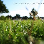 Live your life,   take it all and don’t feel guilty for it