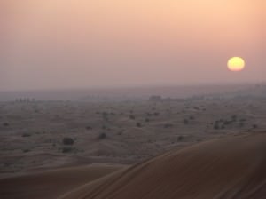 Desert Sunset