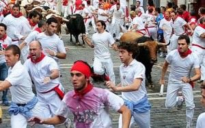 Running of the Bulls pamplona