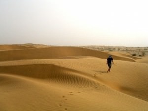 camel safari