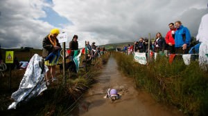 bog snorkelling