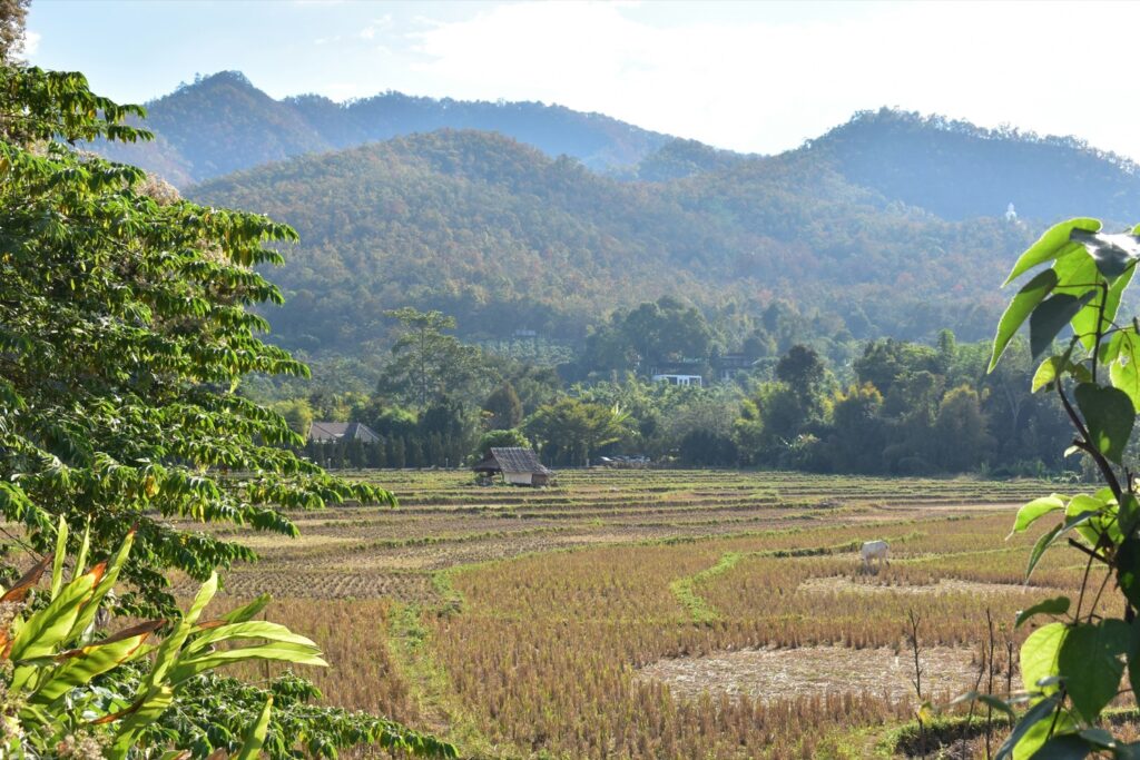 Pai thailand