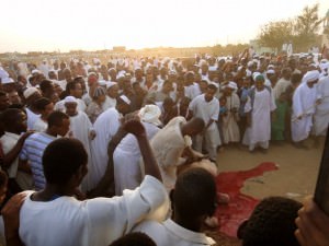 camel sacrifice sudan