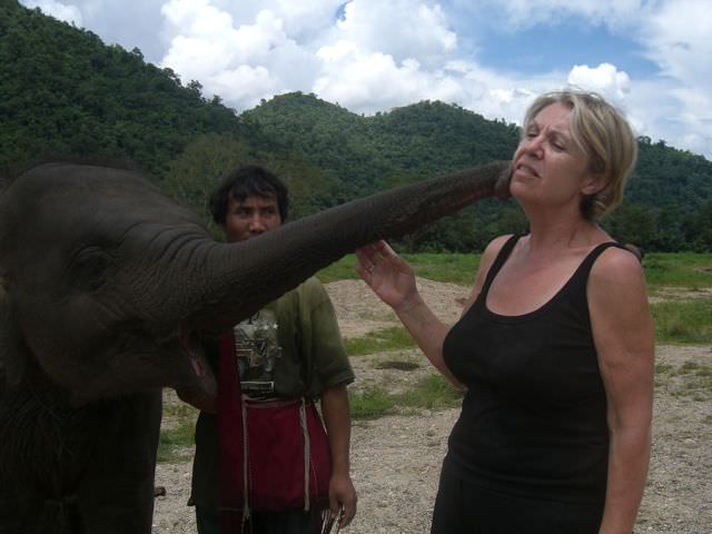 Elephant nature park in Thailand