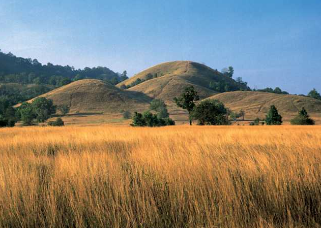 ranong bald hill