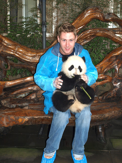 holding a panda in chengdu