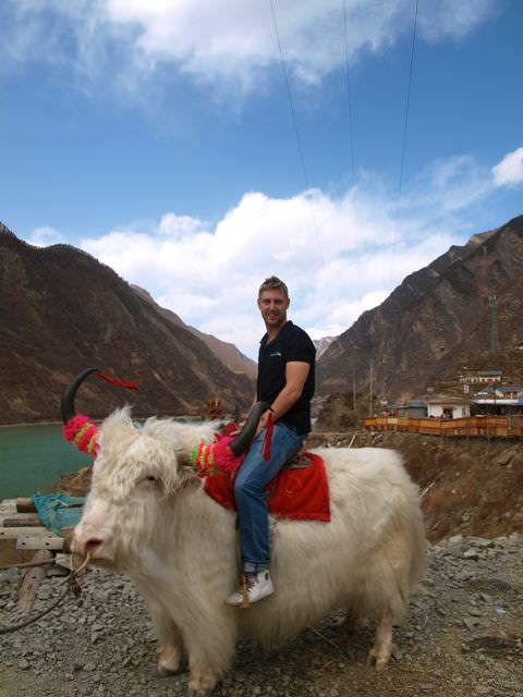 sitting on a yak