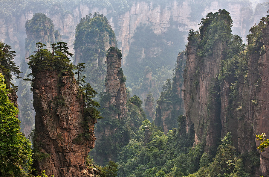 Zhangjiajie National Forest Park (Photo: onestep4ward.com)