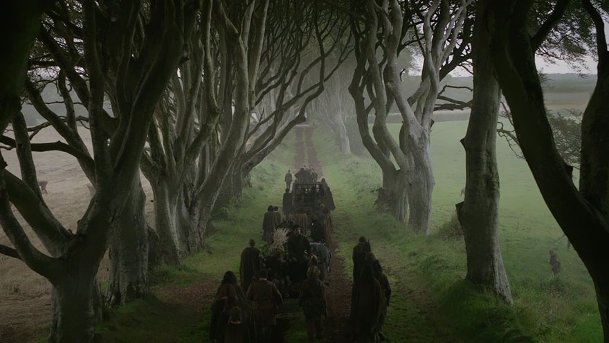 The Dark Hedges Game of Thrones