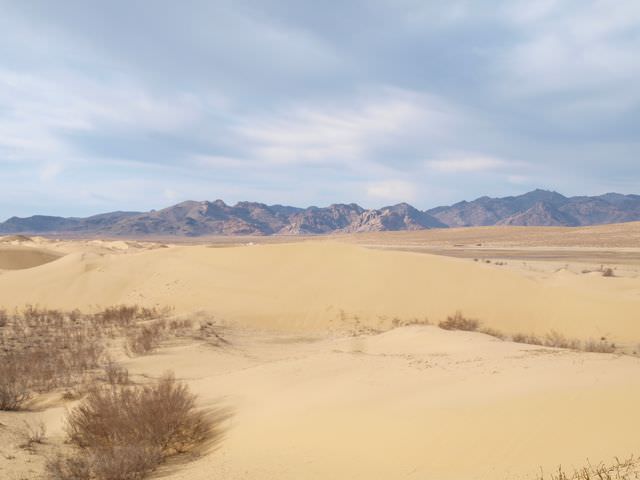 desert in mongolia