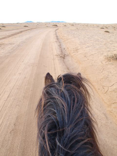 horse riding mongolia