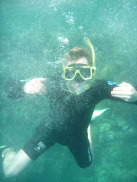 snorkelling at the great barrier reef