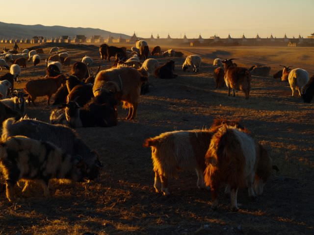 sunset in mongolia