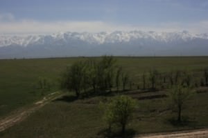 Zailiysky-Alatau-Moutnain-Range-Kazakhstan.