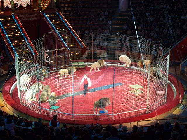 Visiting the Russian circus in Moscow
