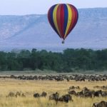 10 Great Things to do in Kenya