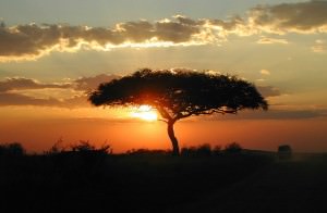 kenya sunset