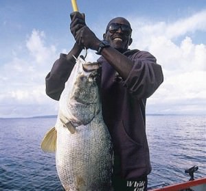 nile perch kenya