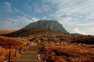 Hallasaan mountain jeju island south korea