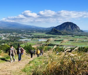 olle trail jeju south korea