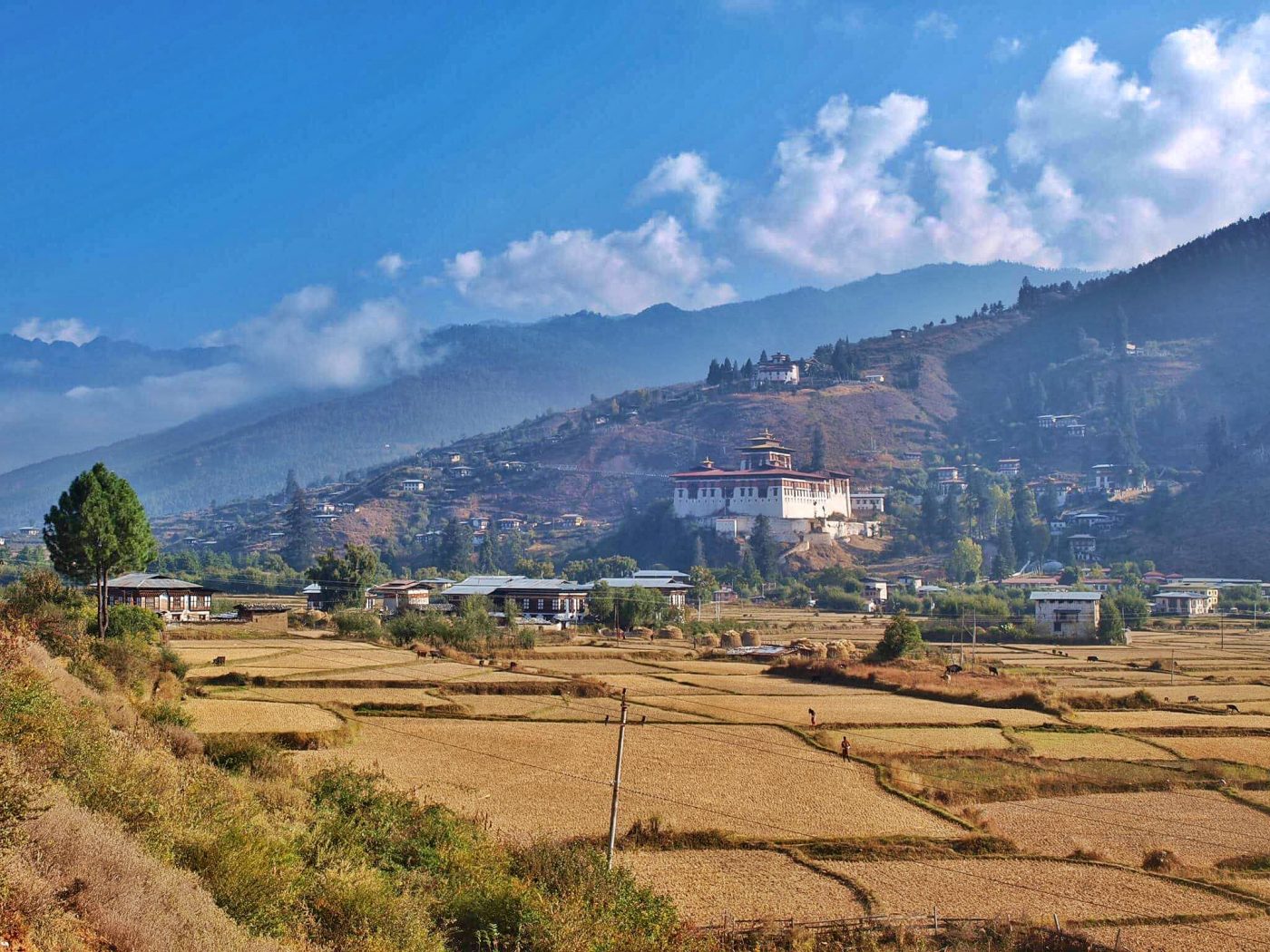 Paro Bhutan