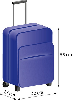 porter carry on dimensions