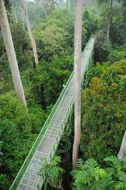 images-20
