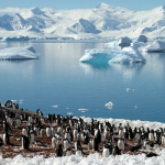 Traveling in Antarctica – Anyone Crazy Enough To Join Me?!