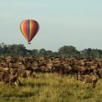 Top 5 Things to Do in Kenya