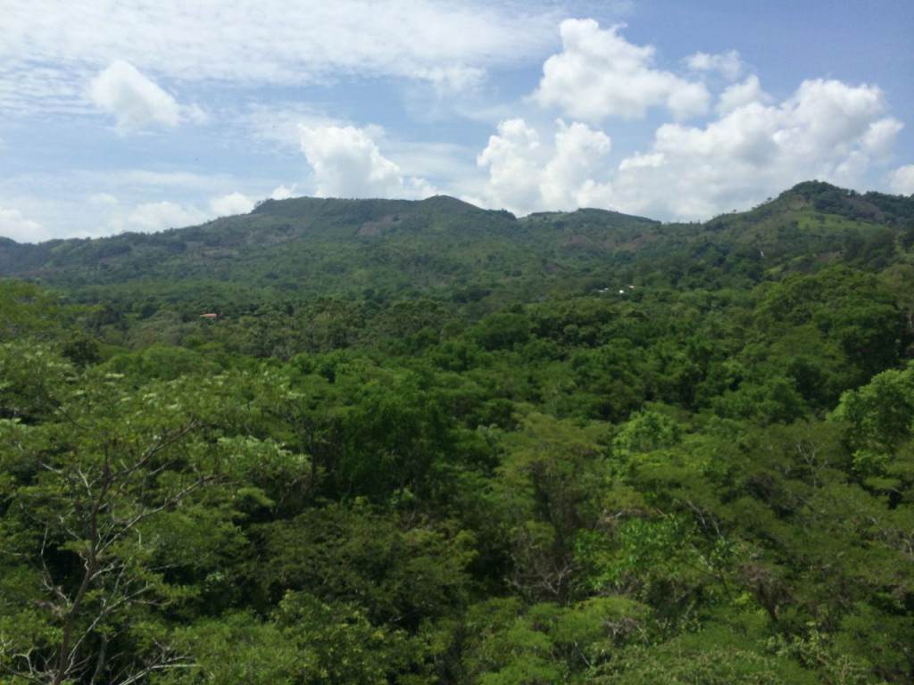 Visiting the UNESCO Copan Ruins + Bird House; Copan Ruinas, Honduras