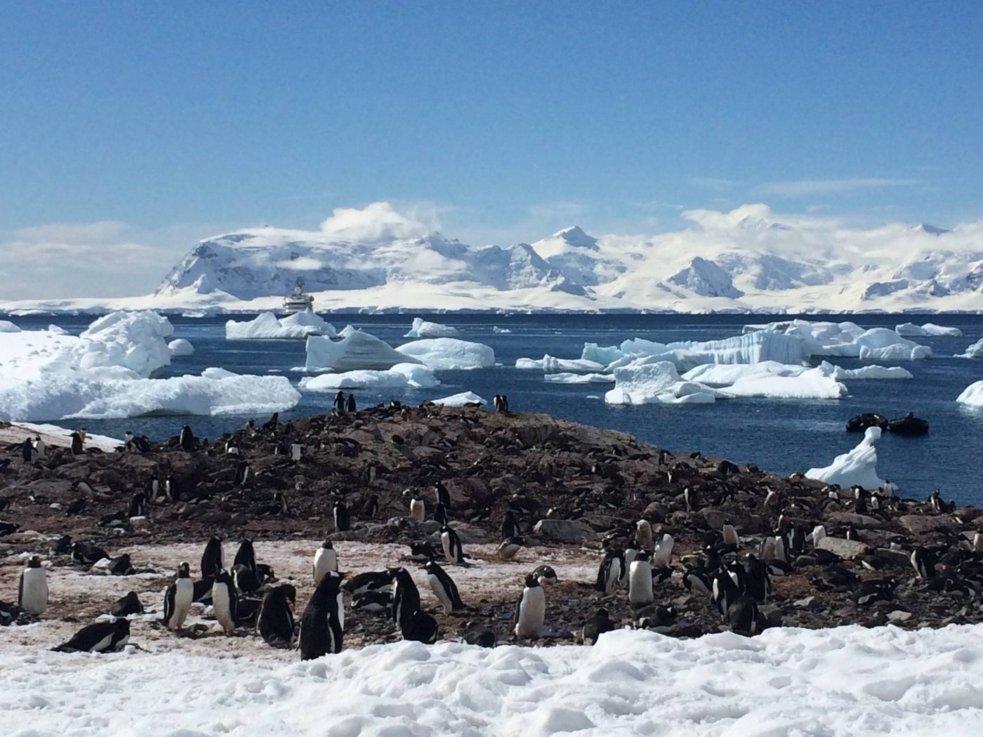 How to visit Antarctica