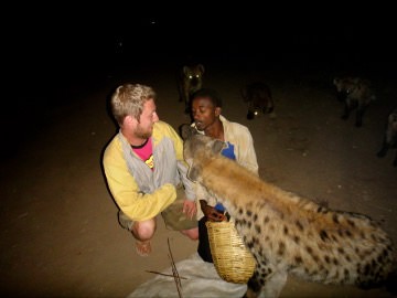 Ethiopia hyenas