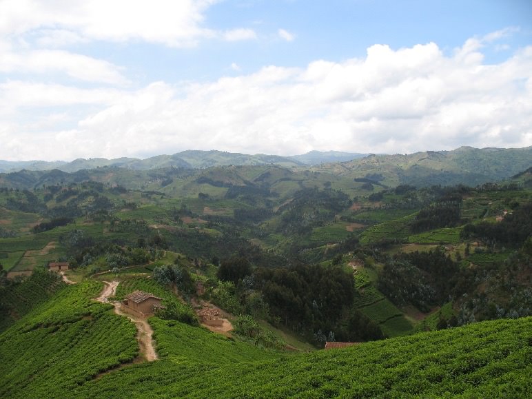 virunga national park