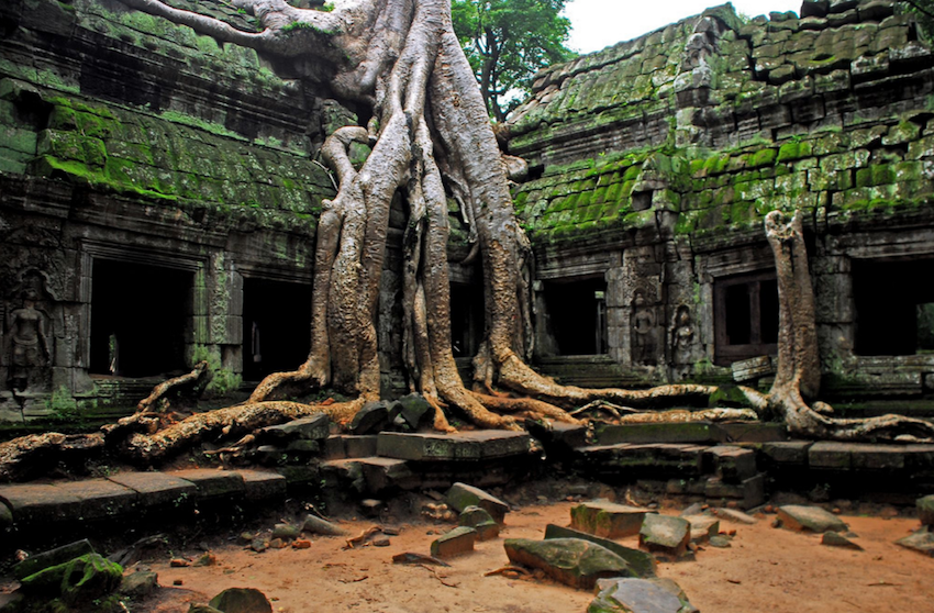 volunteering in cambodia