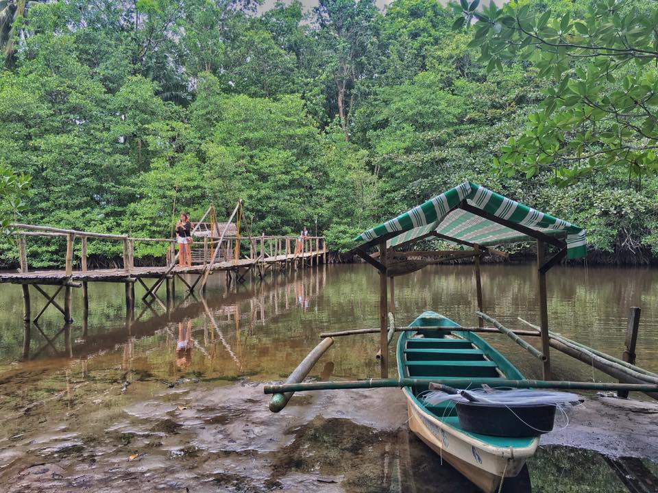 mangrove tour sabang philppines